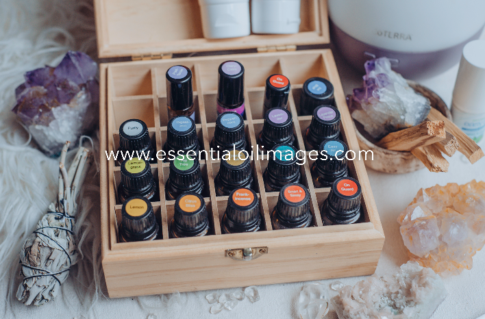 The Enlightenment AUS Nature Solutions Collection