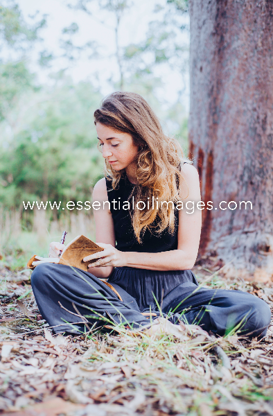 The Mindfulness Meditation and Journaling Collection