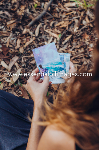 The Mindfulness Oracle Card Collection