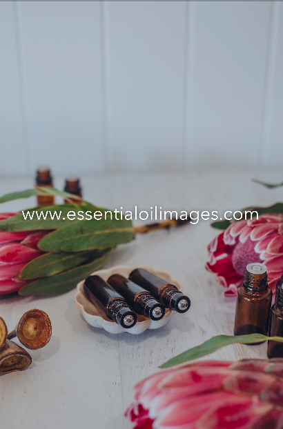 The Protea Unbranded Essential Oil Collection