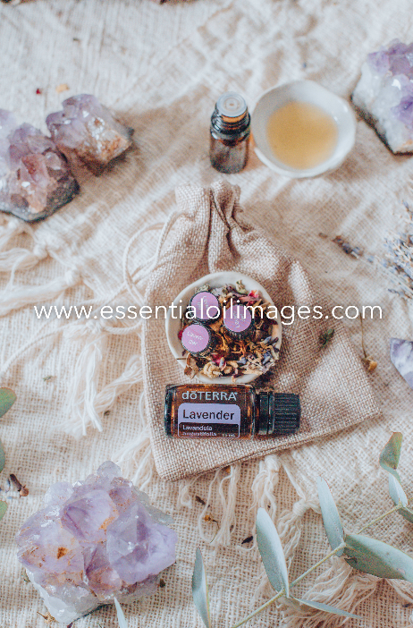 The Natural Essence Lavender Sampling Collection