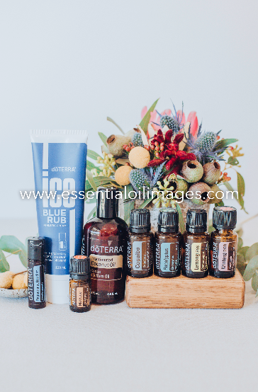 The Floral Abundance - The Active Sports Starter Kit Collection