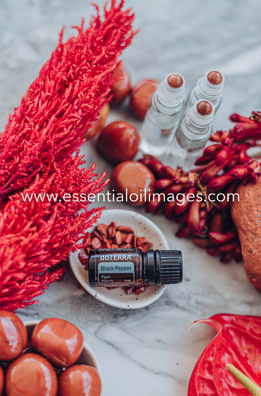 Essential Oil Chakra - The Root Chakra Collection
