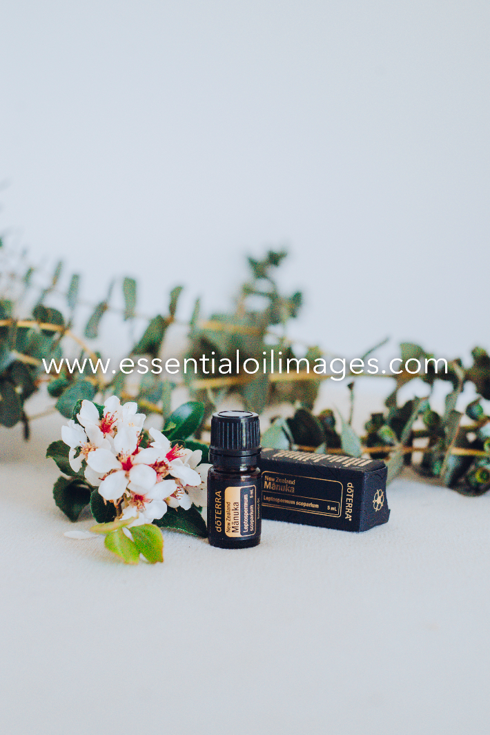 Entire Collection - All Images + Group Images - dōTERRA 2019 Together