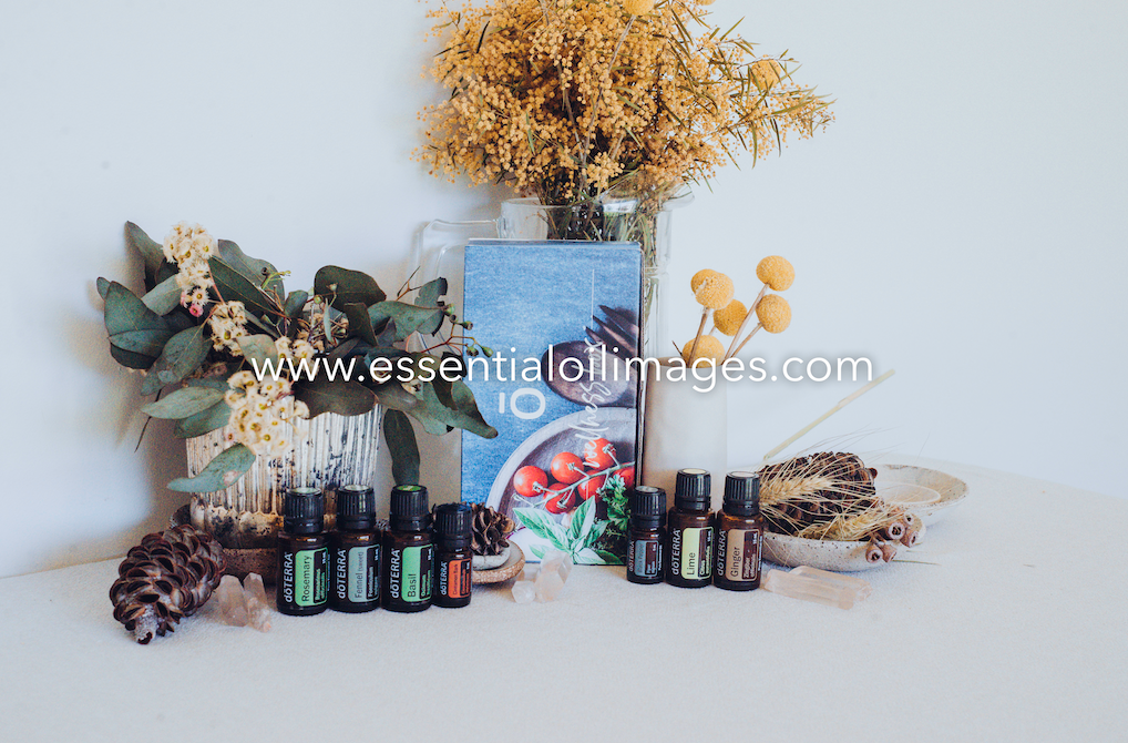 The Gourmet Cook Wellness Box Styled Collection