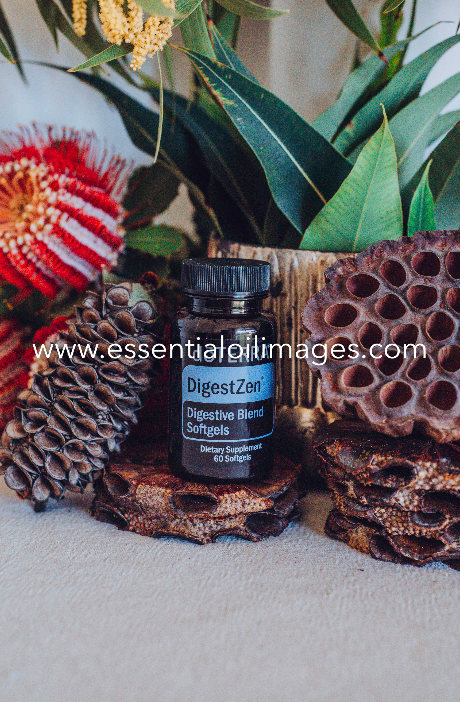 The Banksia SoftGel Collection