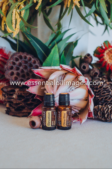 The Banksia Mood Management Collection