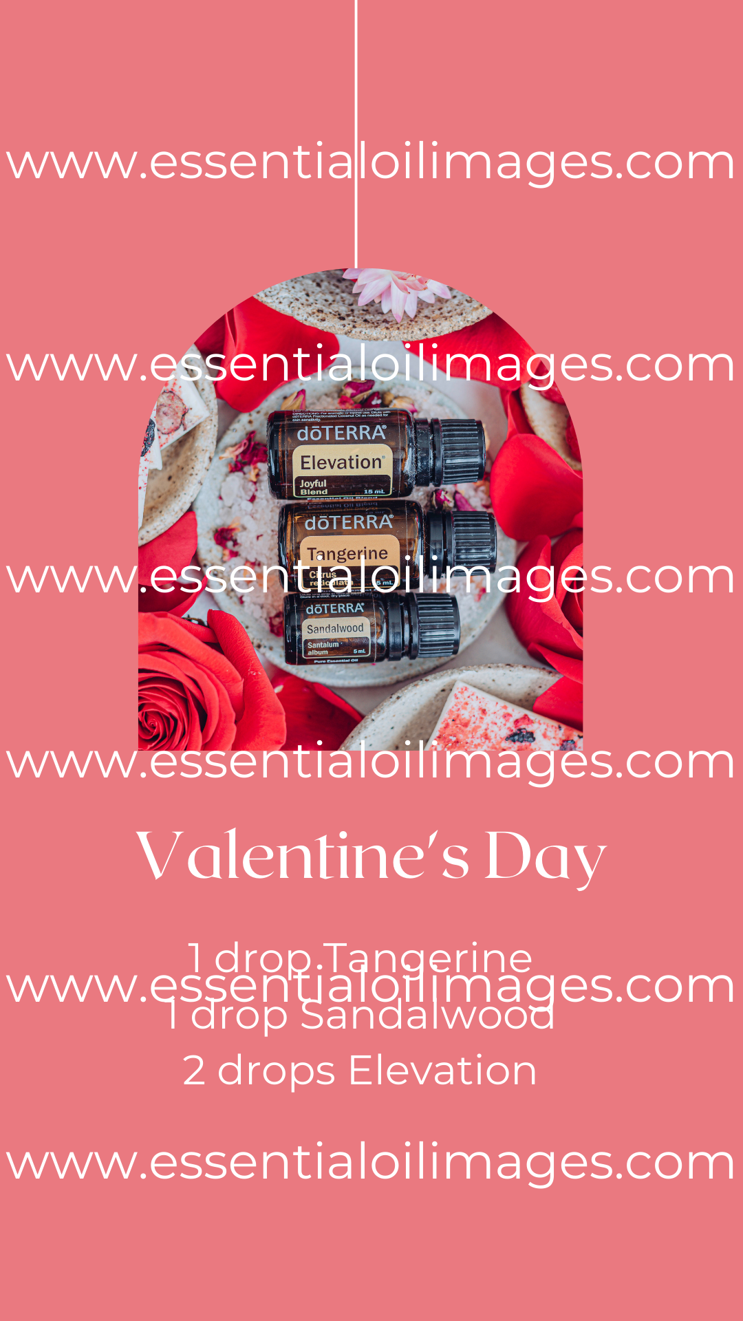 The Essential Oil Images Valentines Day Graphics Collection