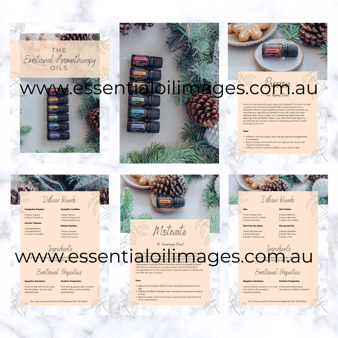 The Emotional Aromatherapy Kit eBook (Christmas Style)