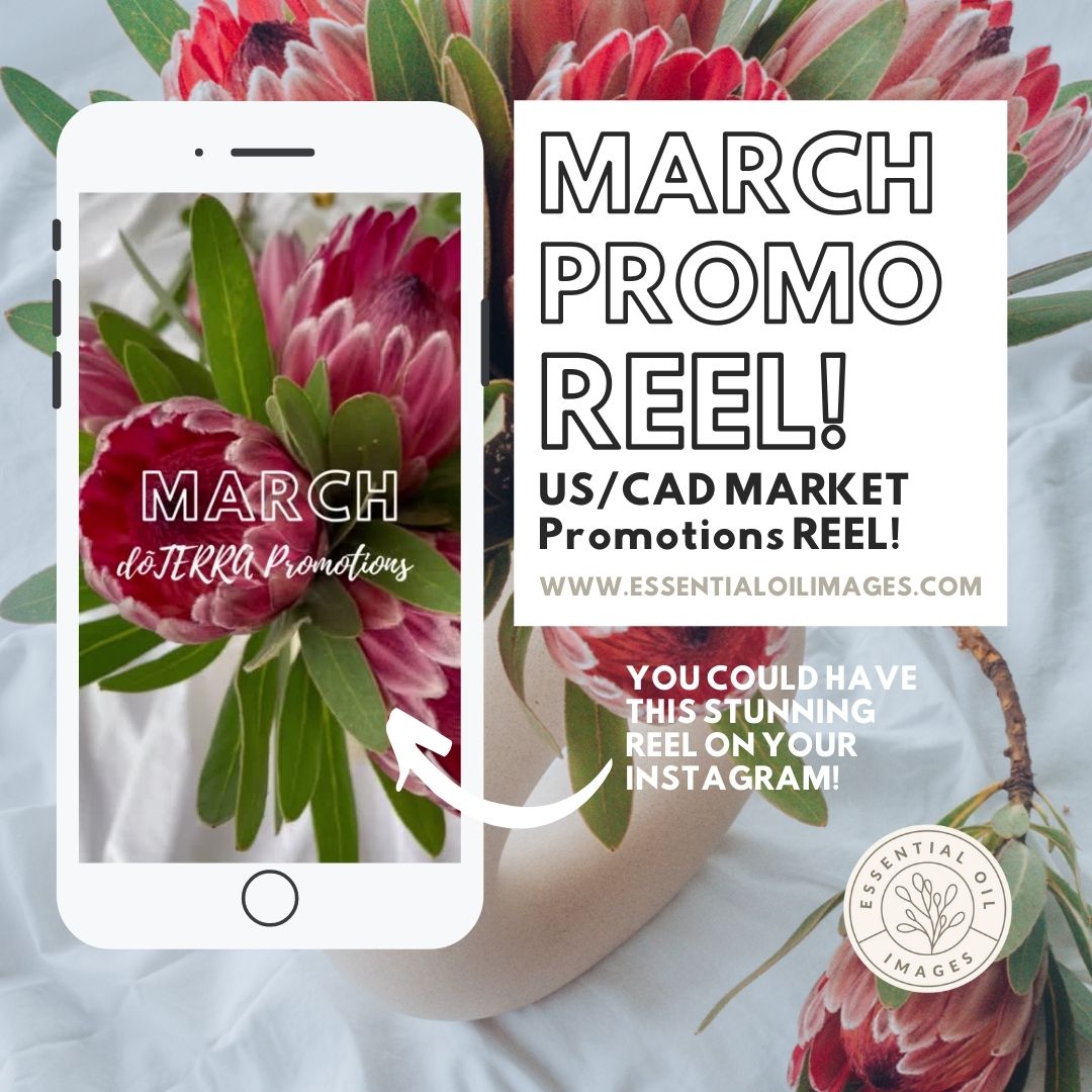 US/CAD March Promotions Instagram REEL