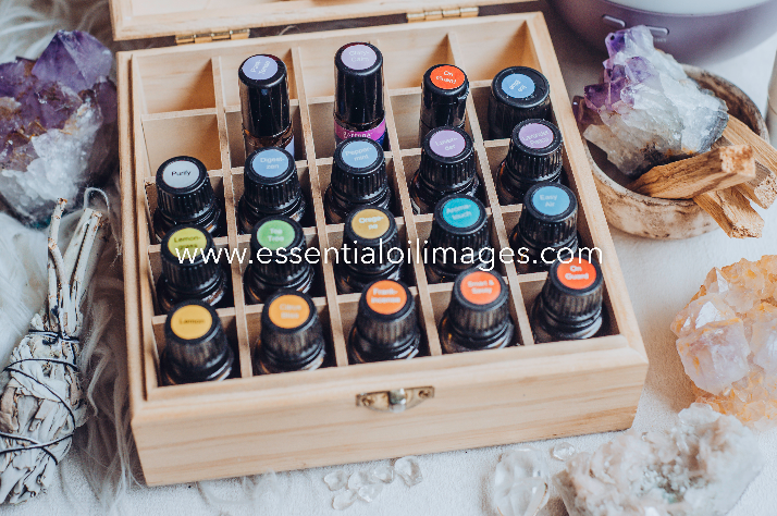 The Enlightenment AUS Nature Solutions Collection