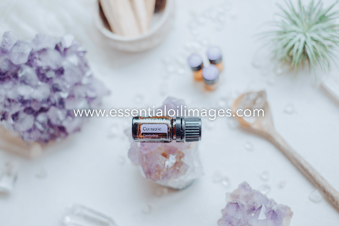 The Enlightenment Sample Emotional Aromatherapy Collection