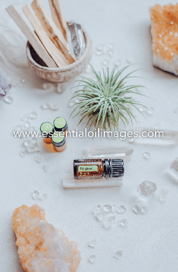 The Enlightenment Sample Emotional Aromatherapy Collection