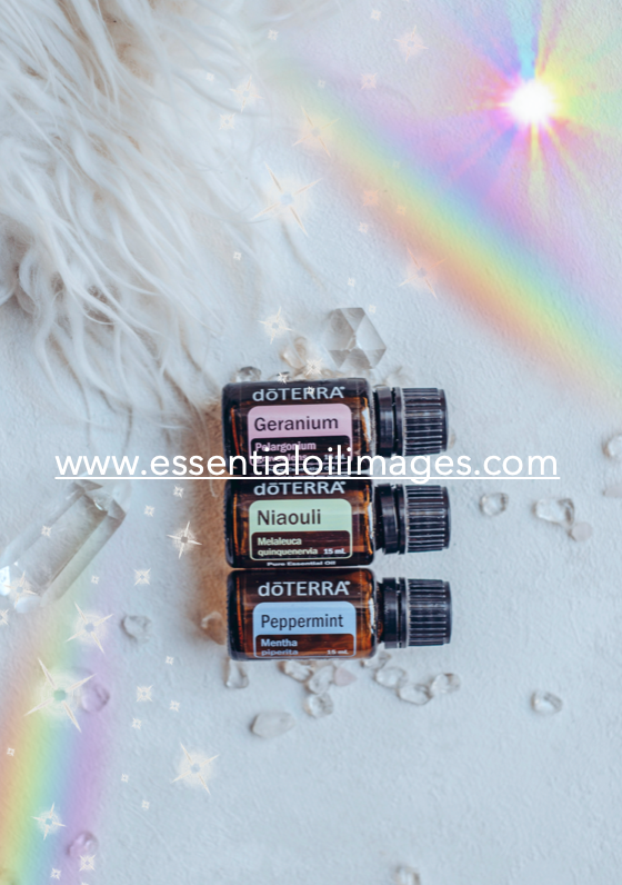 The Rainbow Essentials Niaouli Blends Collection