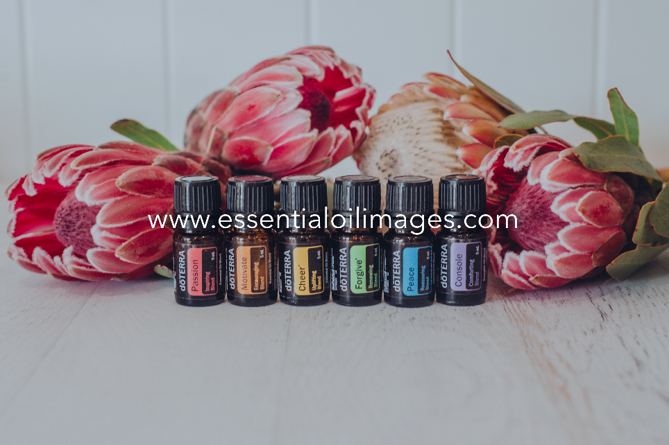 The Protea Emotional Aromatherapy Collection