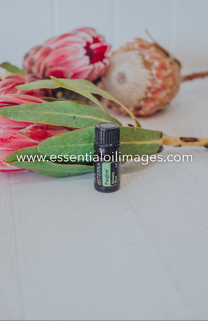 The Protea Emotional Aromatherapy Collection