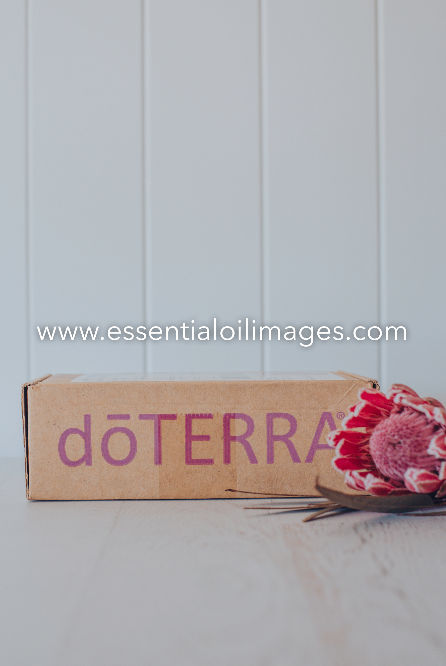 The Protea dōTERRA Box Collection