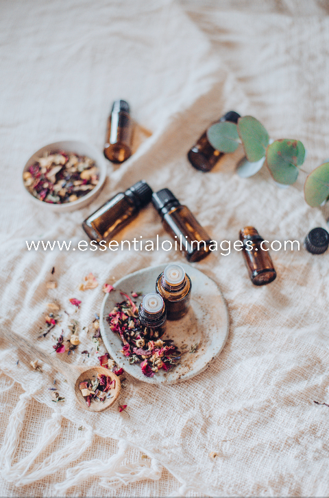 The Natural Essence BUNDLE Collection
