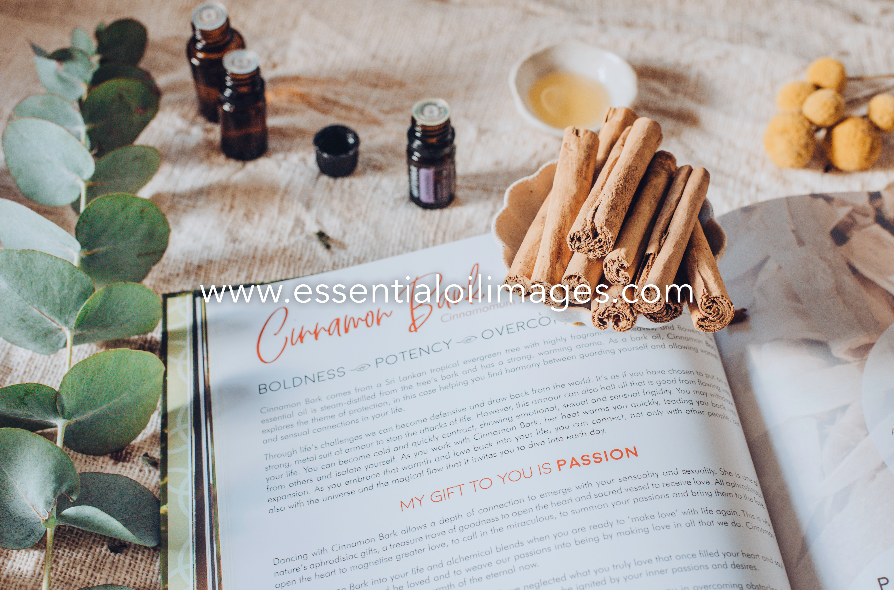 The Natural Essence BUNDLE Collection