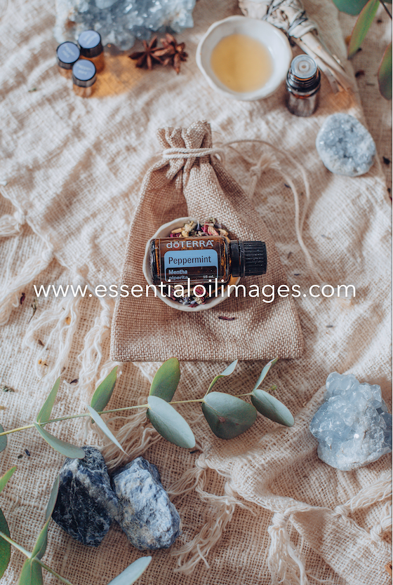 The Natural Essence Peppermint Sampling Collection