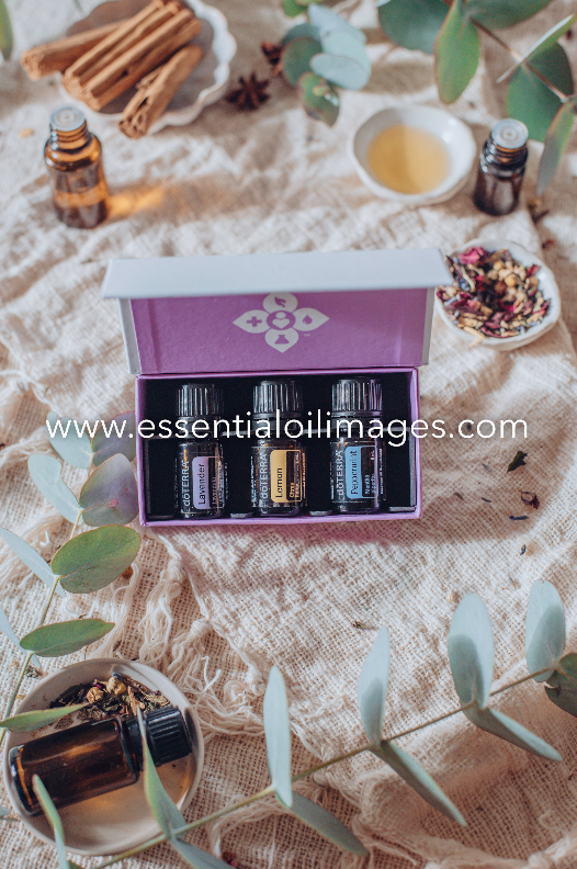 The Natural Essence Introductory Kit Collection