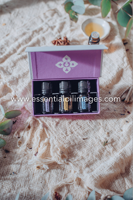 The Natural Essence Introductory Kit Collection
