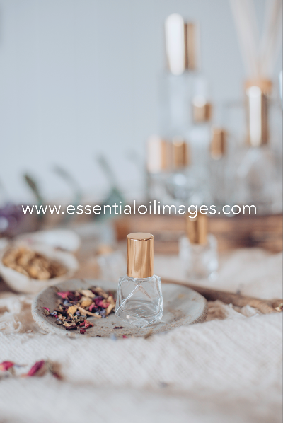 The Natural Essence Perfume Makers Collection