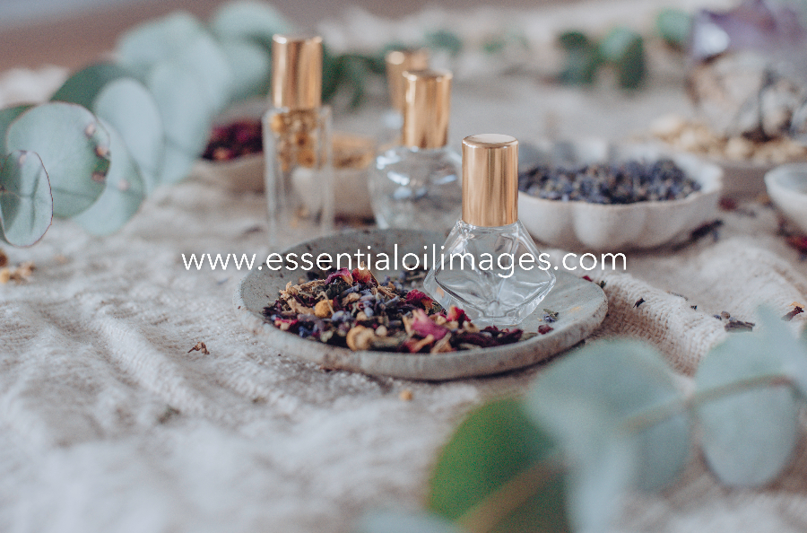 The Natural Essence Perfume Makers Collection