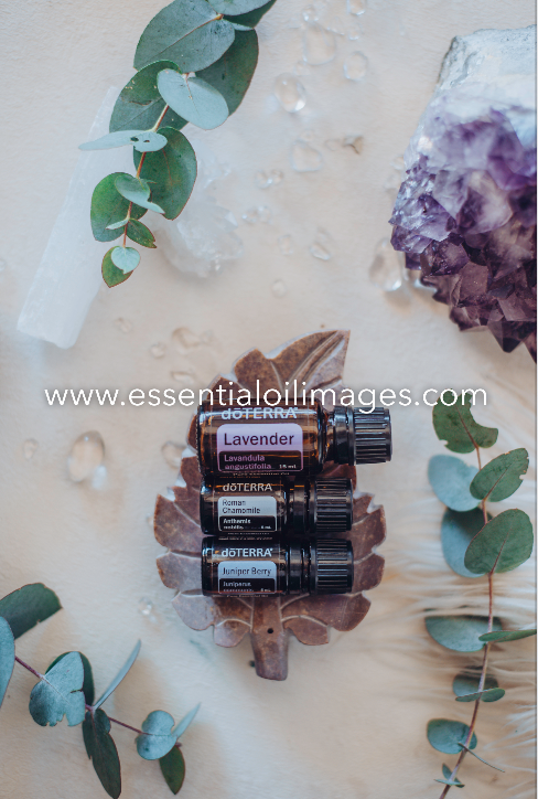 The Enlightenment Sleep and Calming Blends Collection