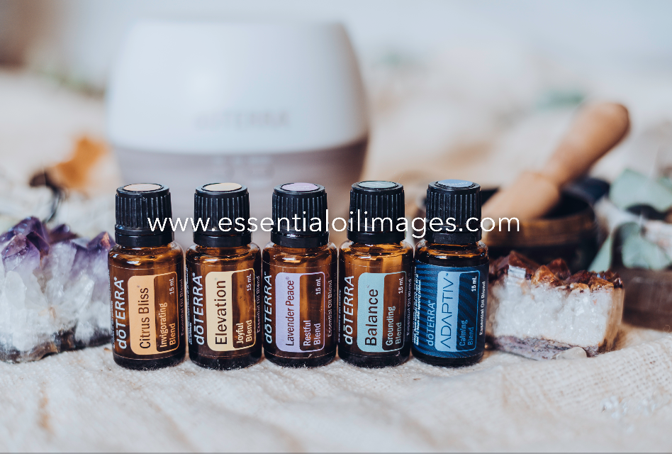 The Earthly Treasure Emotional Wellness Collection