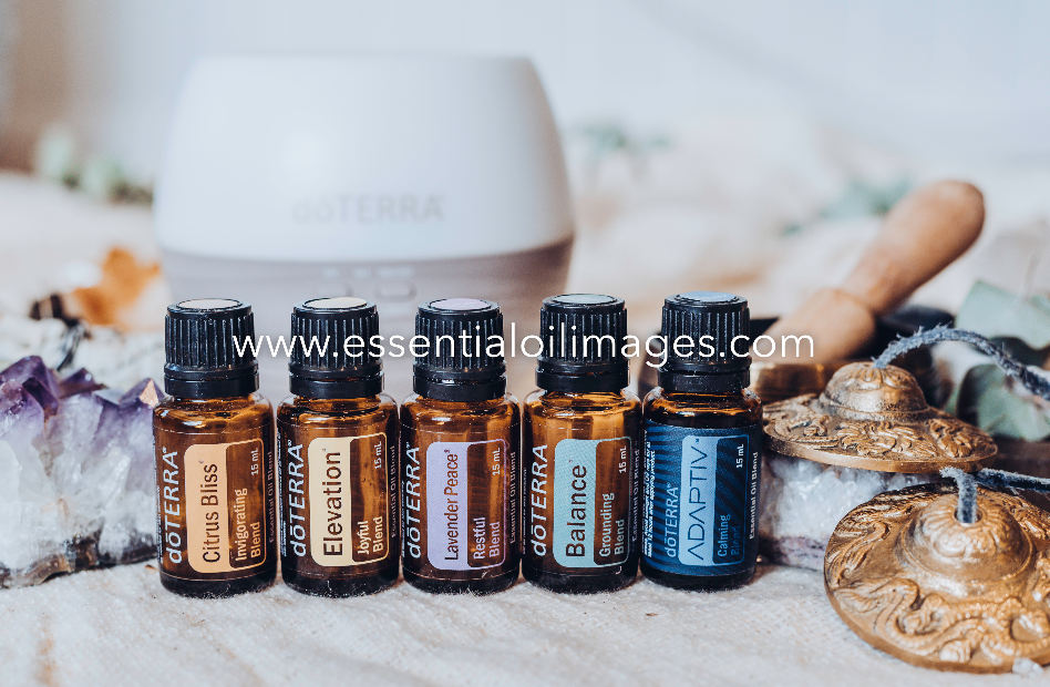 The Earthly Treasure Emotional Wellness Collection