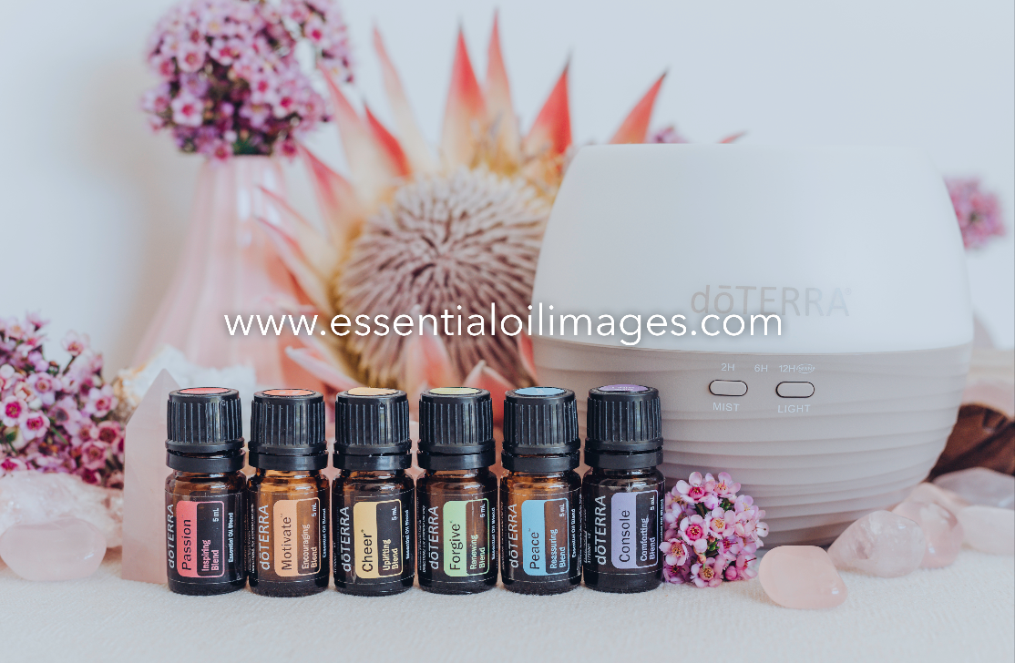 The Rose Quartz and Protea Emotional Aromatherapy Collection