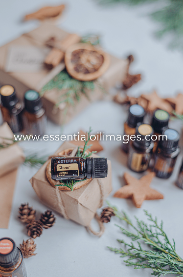 The Natural Tones Christmas Collection - dōTERRA