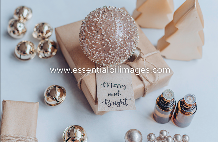 Merry and Bright Christmas Collection - Unbranded