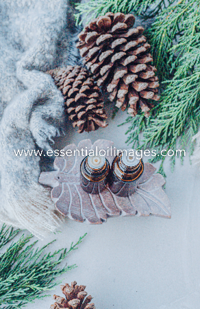 The Essential Oil Images Winter Wellness Images Collection