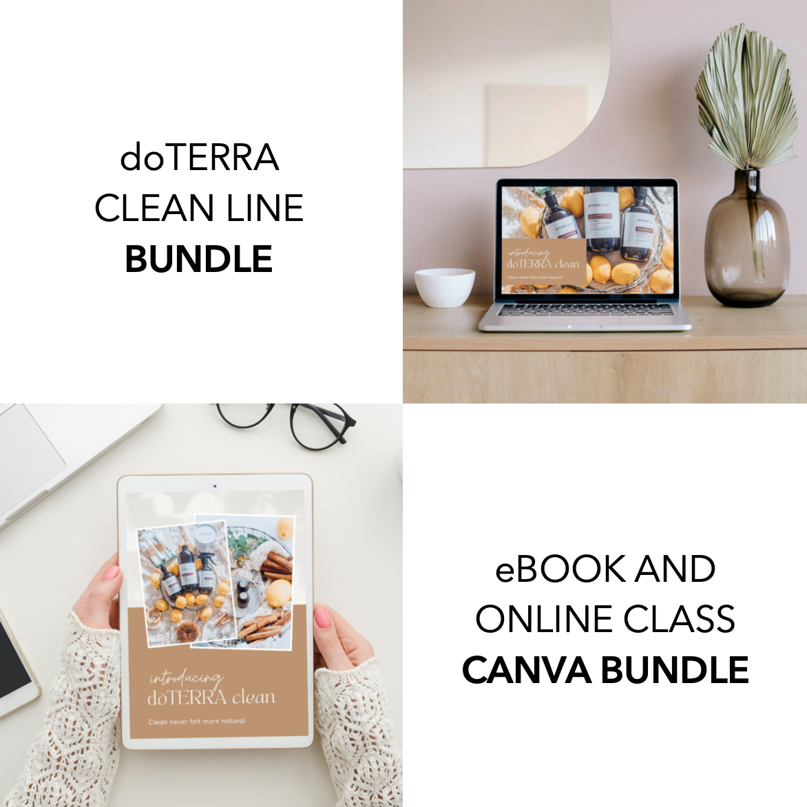 BUNDLE - doTERRA Clean Range Online Class + eBook