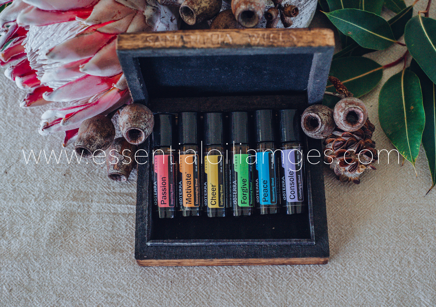 The Native Emotional Aromatherapy Touch Collection