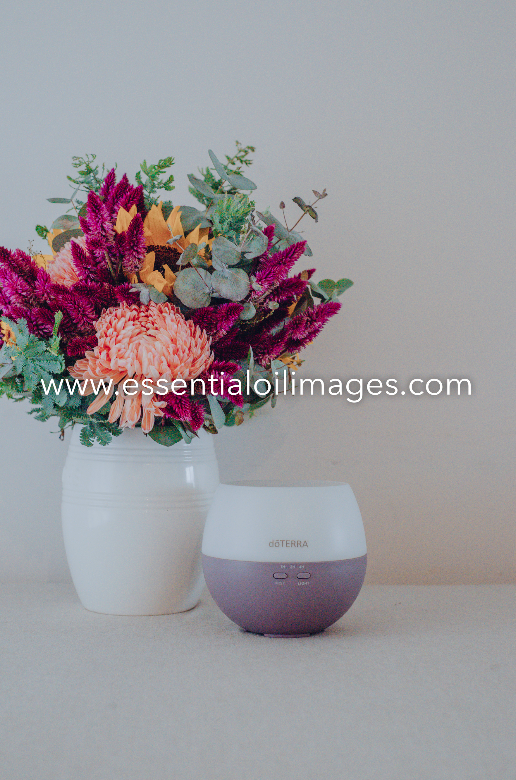 The Floral Wonderland AUS and US Home Essential Collection