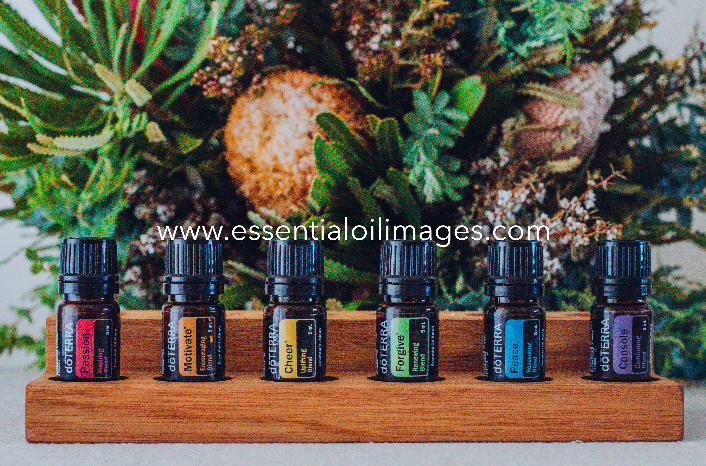 The Floral Wonderland Emotional Aromatherapy Collection