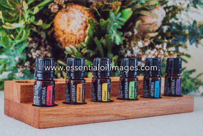The Floral Wonderland Emotional Aromatherapy Collection