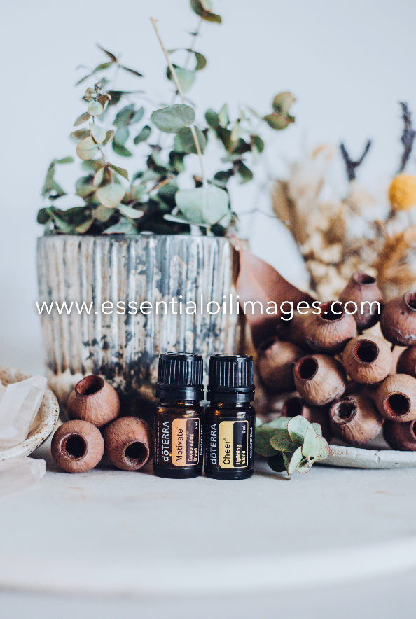 Emotional Aromatherapy Gumnut Collection