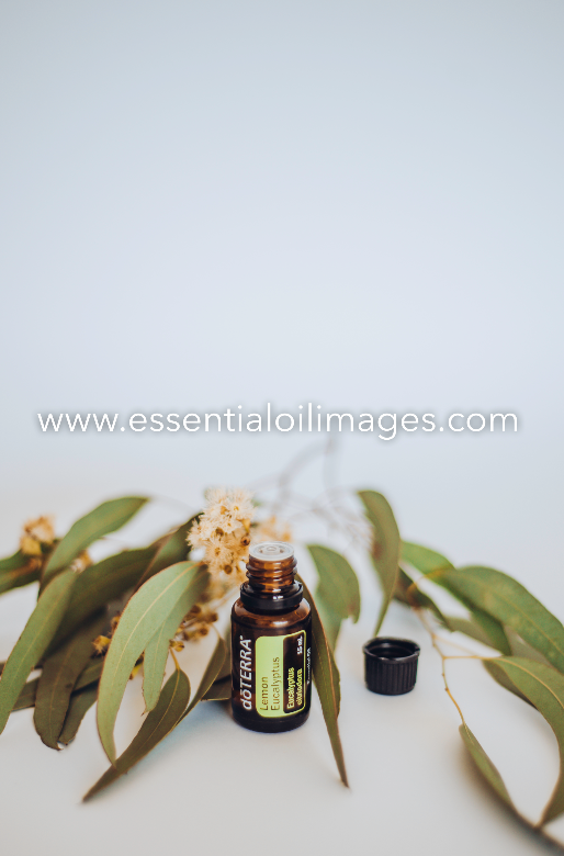 Entire Minimalistic Collection - All Images + Group images - dōTERRA 2019 Together