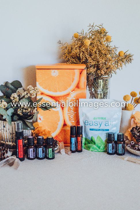 The Entire Wellness Boxes Styled Collections
