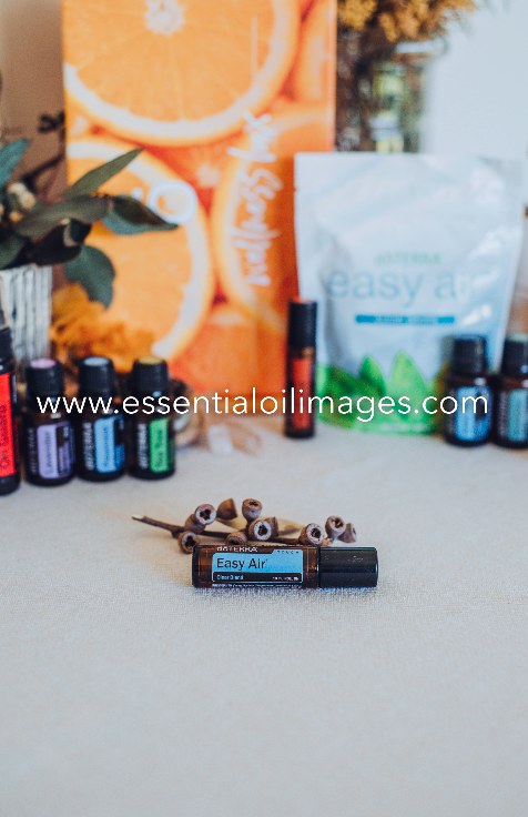 The Seasonal Essentials Wellness Box Styled Collection