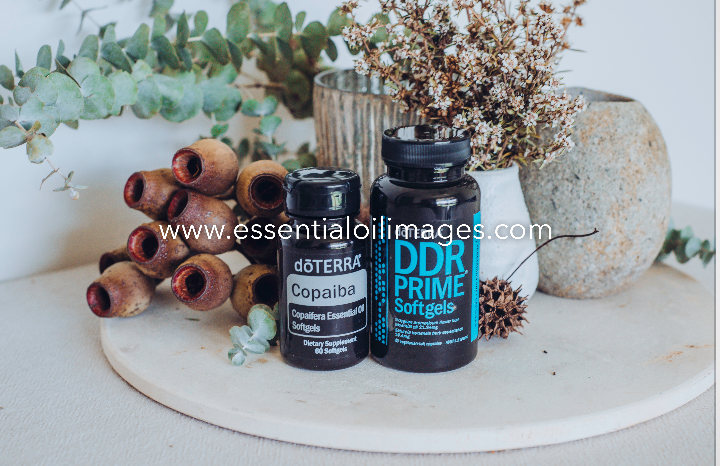 dōTERRA DDR Prime and Copaiba Collection