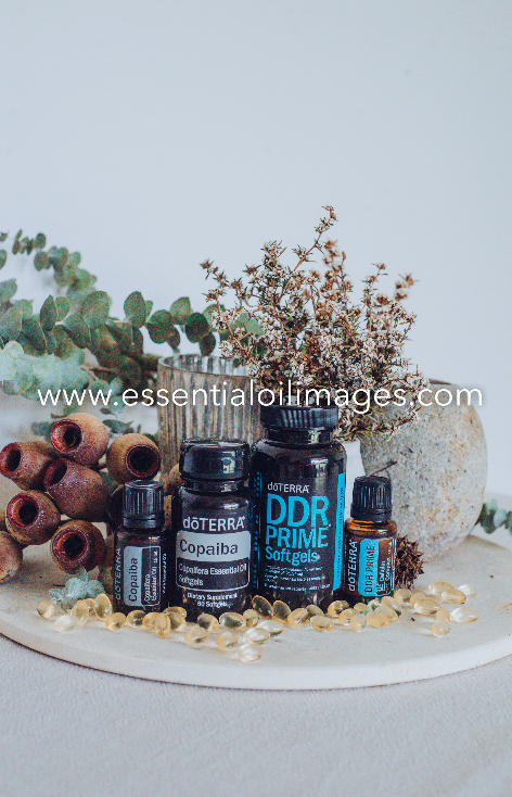 dōTERRA DDR Prime and Copaiba Collection