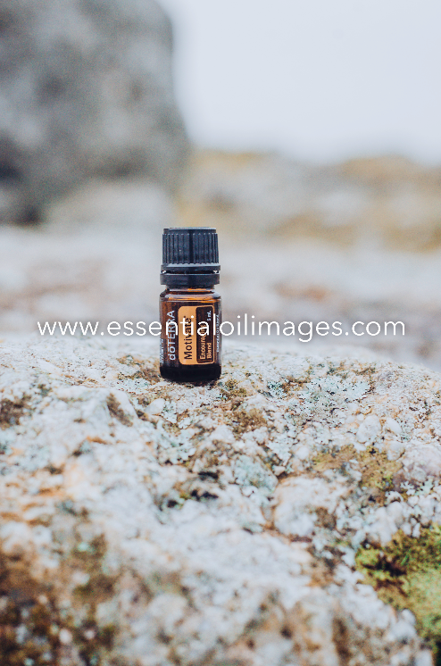 The King Arthur's Stone Emotional Aromatherapy Collection