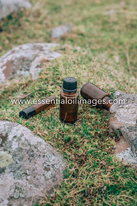 The King Arthur's Stone Unbranded Essential Oil Collection