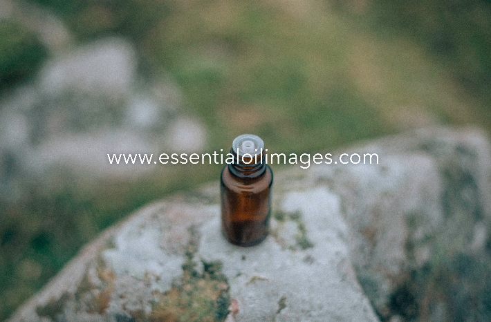The King Arthur's Stone Unbranded Essential Oil Collection