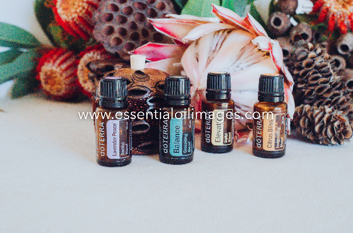 The Banksia Mood Management Collection